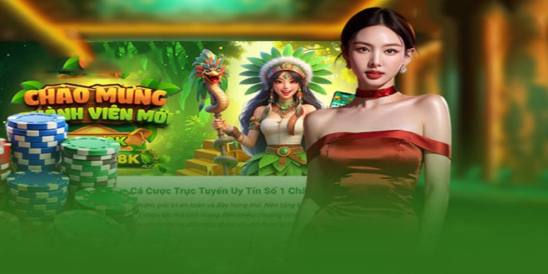 Dịch vụ CSKH 24/7