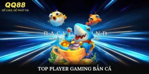 Top Player Gaming Bắn Cá