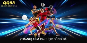 (trang) xem cá cược bóng đá